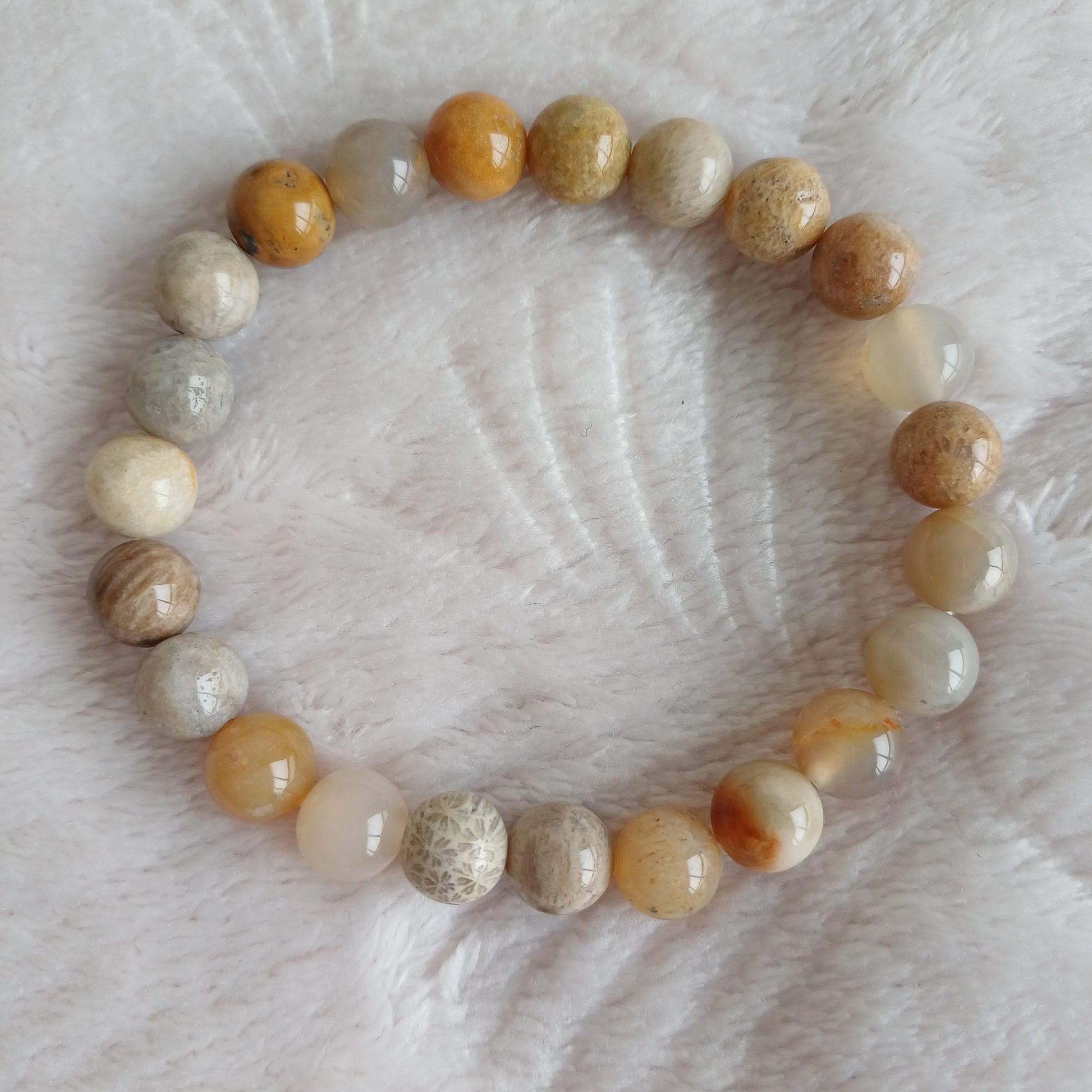 Bracelet Corail Fossile 8mm (A) Perla Terra