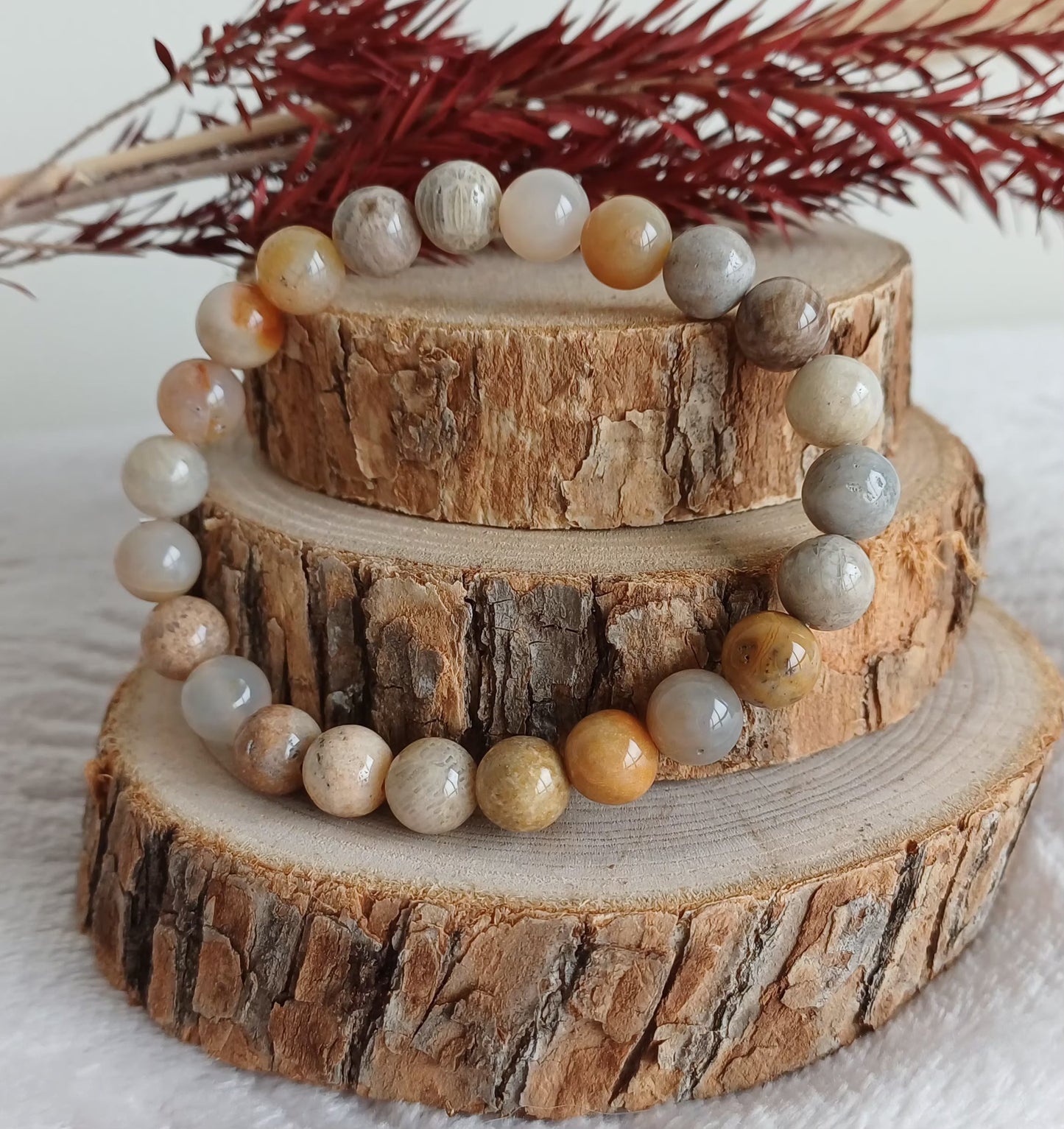 Bracelet Corail Fossile 8mm (A) Perla Terra