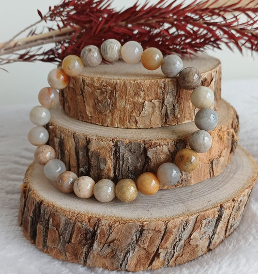 Bracelet Corail Fossile 8mm (A) Perla Terra